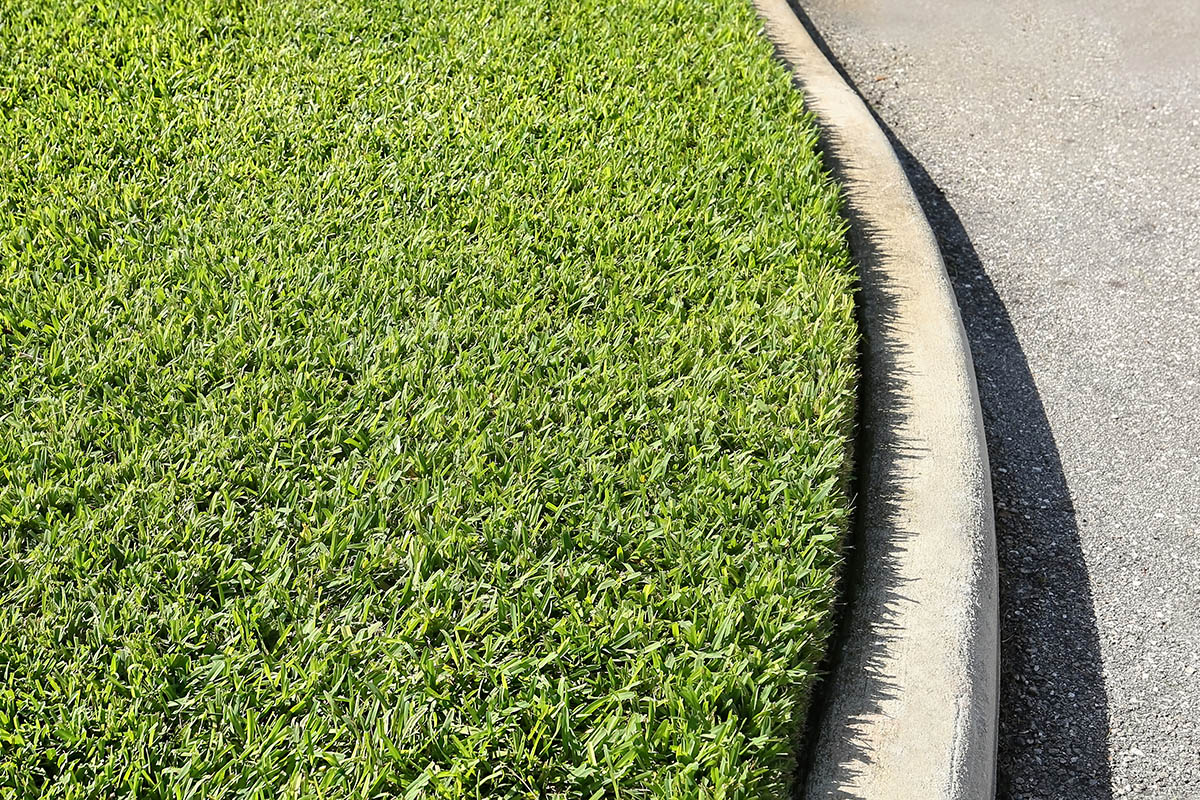 How Should You Store Your Sod?