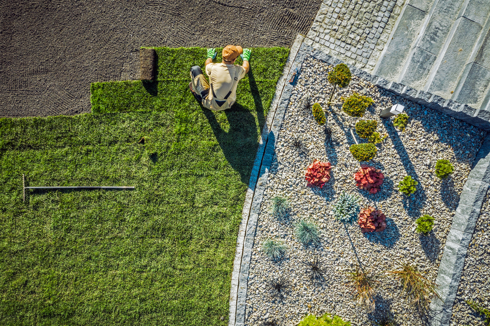 When to Lay Sod